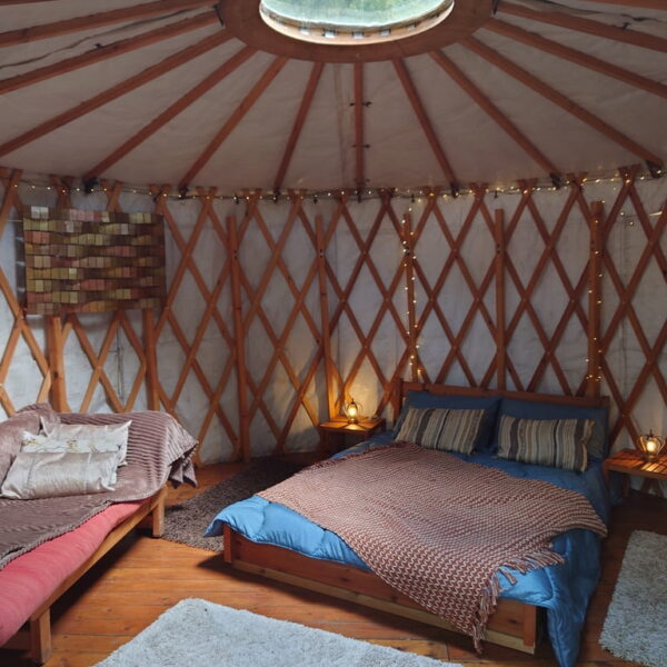 D791E174-4C4B-449F-A6A5-935428D90ADB_1_105_c D791E174-4C4B-449F-A6A5-935428D90ADB_1_105_c