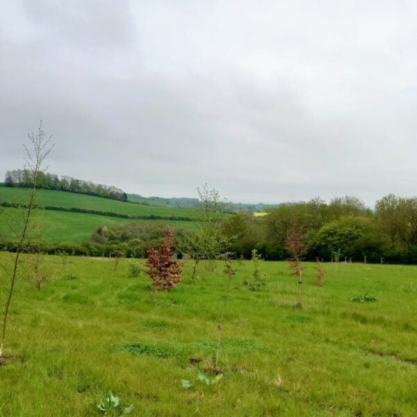 WhatsApp Image 2023-05-08 at 17.36.25 (2) WhatsApp Image 2023-05-08 at 17.36.25 (2)