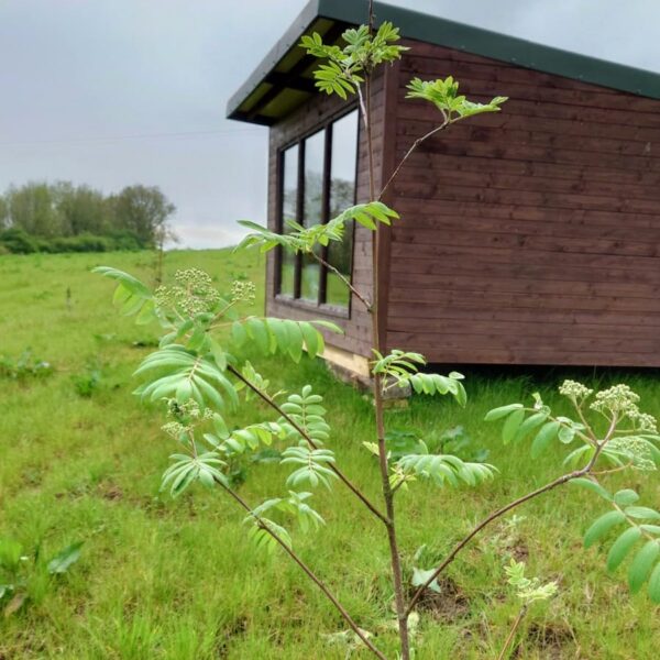 WhatsApp Image 2023-05-08 at 17.36.25 (3) WhatsApp Image 2023-05-08 at 17.36.25 (3)