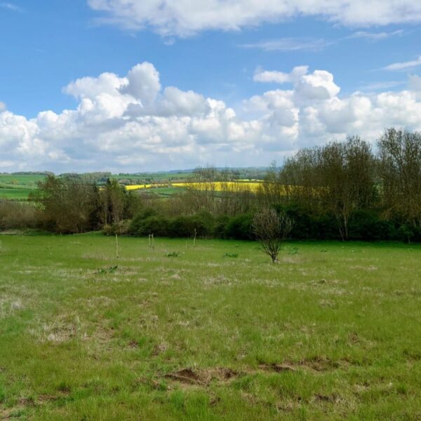 WhatsApp Image 2023-05-08 at 17.36.29 WhatsApp Image 2023-05-08 at 17.36.29