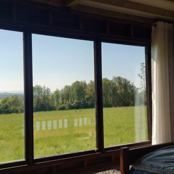 WhatsApp Image 2023-05-20 at 18.04.25 WhatsApp Image 2023-05-20 at 18.04.25